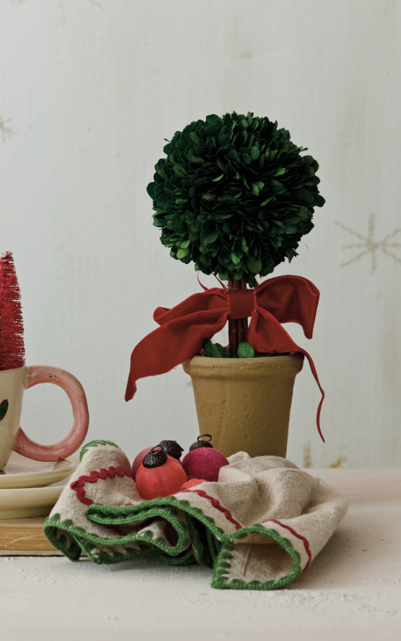 Dried Boxwood Tree in Terra-cotta Pot with Red Velvet Bow