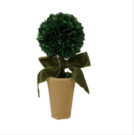 Dried Boxwood Tree in Terra-cotta Pot with Green Velvet Bow