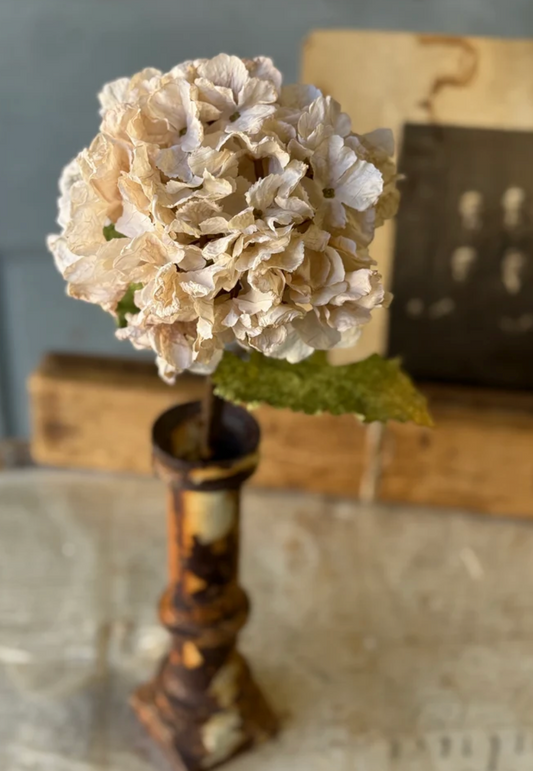 Revival Hydrangea | 20" | Lace