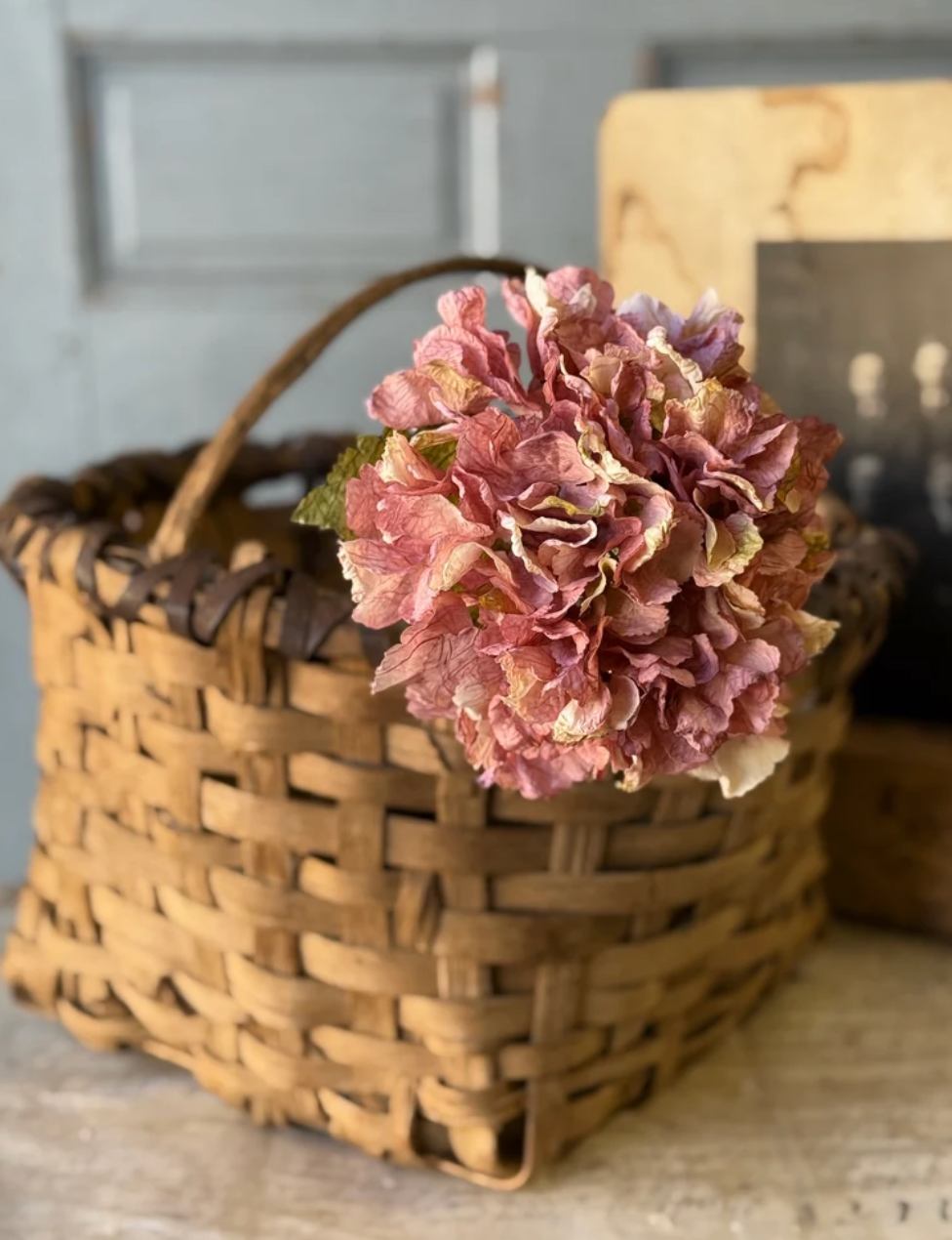 Revival Hydrangea | 20" | Pinken