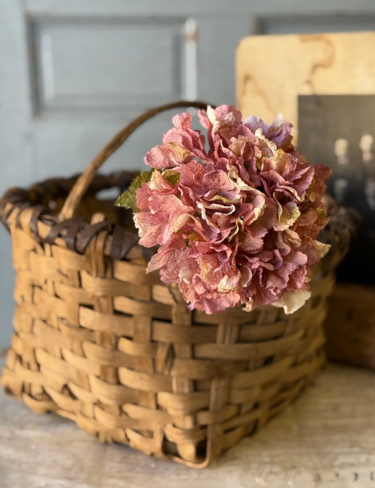 Revival Hydrangea | 20" | Pinken