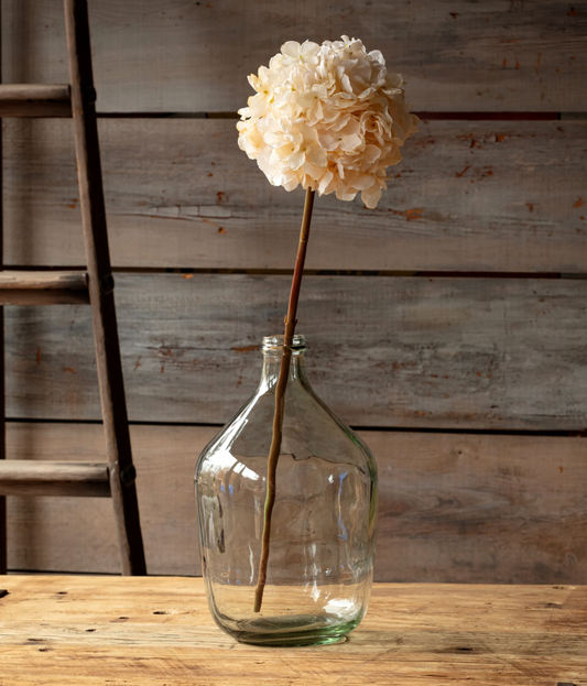 DRIED TOUCH HYDRANGEA STEM CREAM