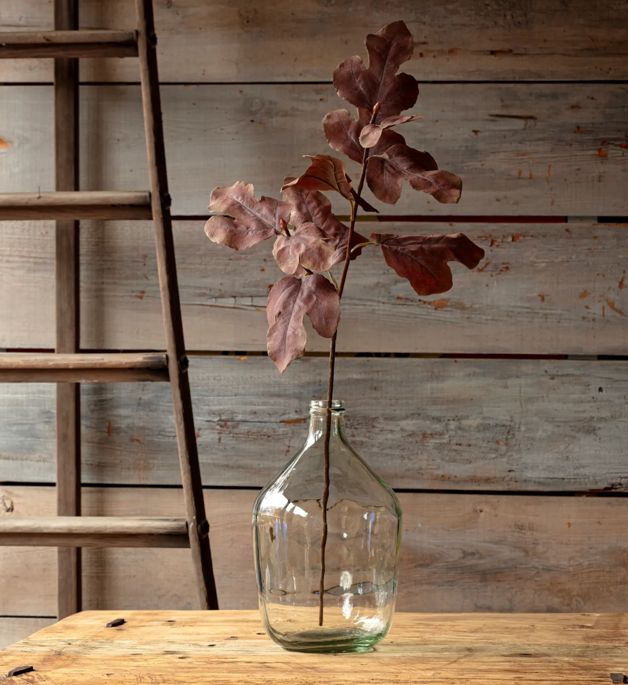 AUTUMN FIG BROWN