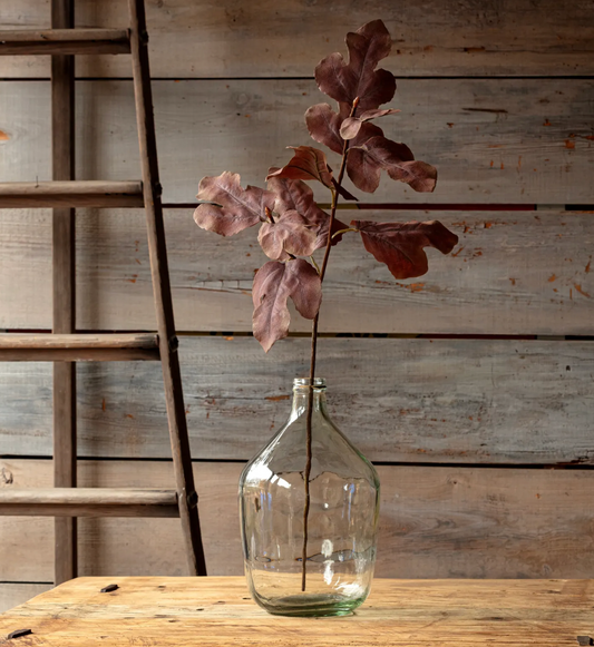 AUTUMN FIG BROWN