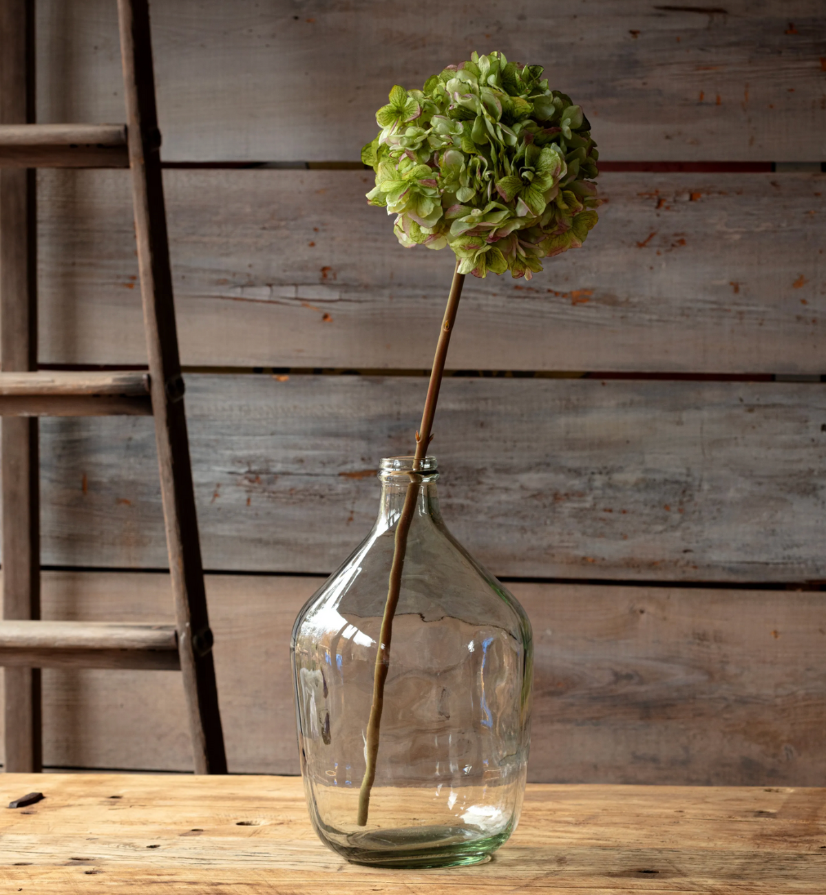 DRIED TOUCH HYDRANGEA STEM GREEN