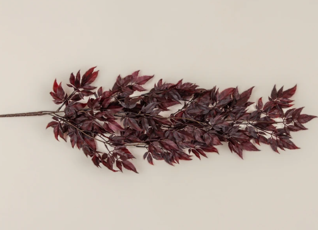 30" BURGUNDY SPIKENARD HANGING BUSH