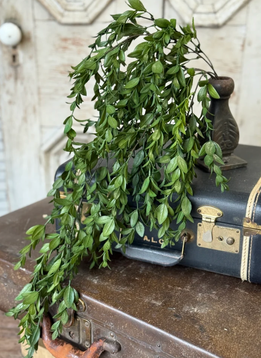 Nottswood Leaves Hanging | 28"