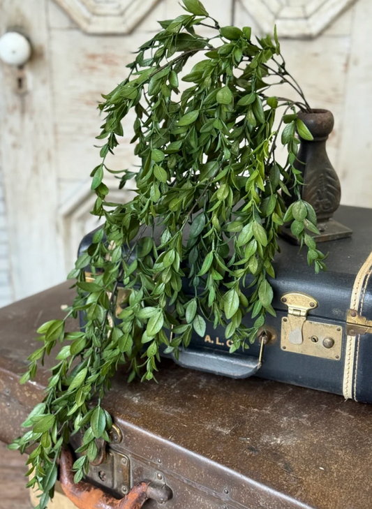 Nottswood Leaves Hanging | 28"