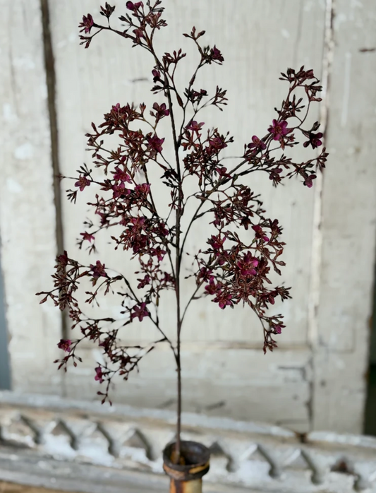 Meadowhue Blooms | 36" | Sangria