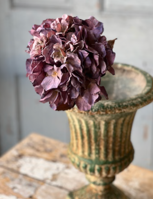 Empire Hydrangea | 25" | Lotus
