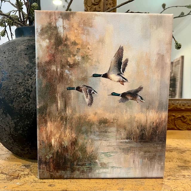Mallard duck canvas art print