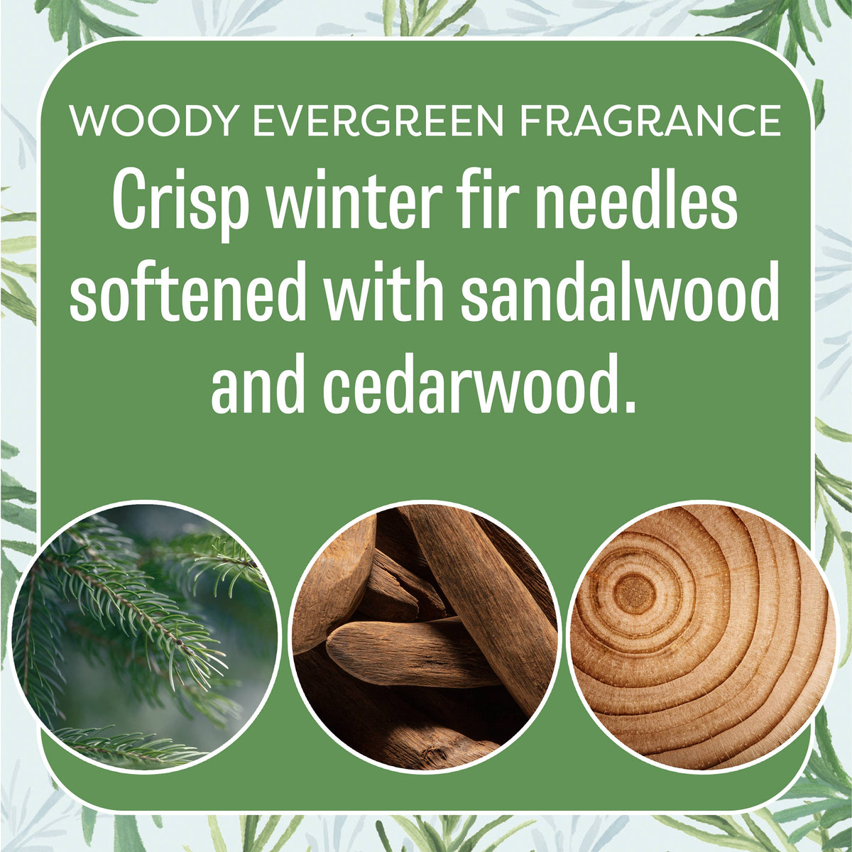 Fresh Scents | Balsam Fir Sachet