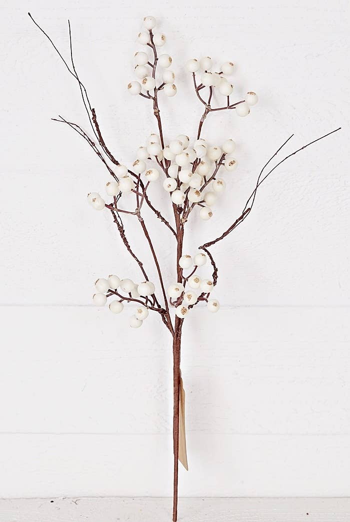 White snowberries with wispy twigs 19'