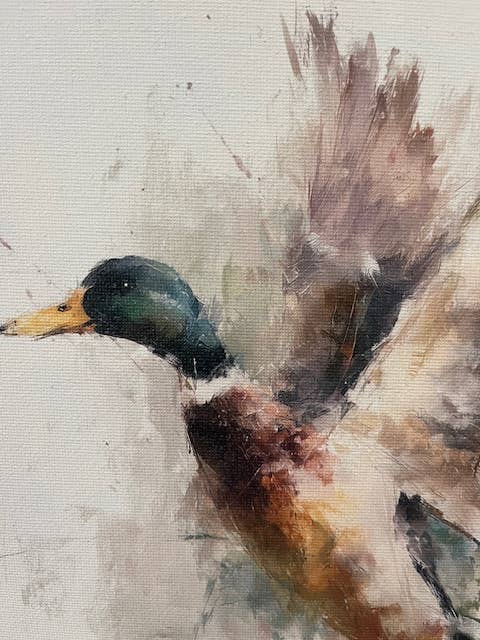 Mallard duck canvas art