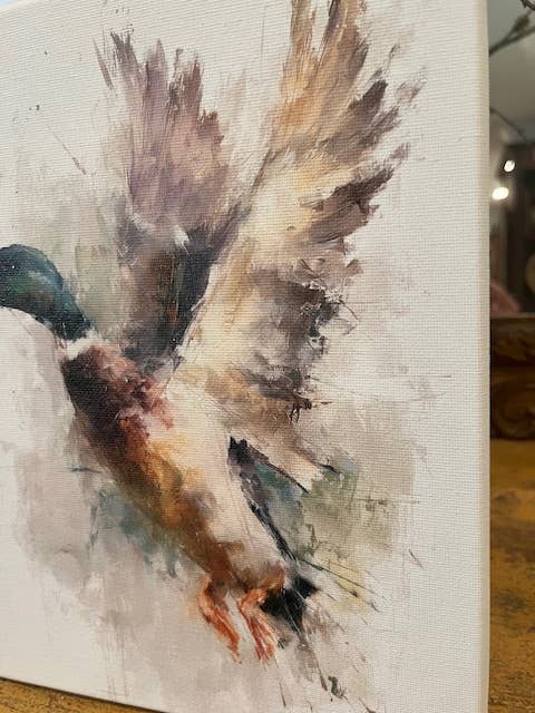 Mallard duck canvas art