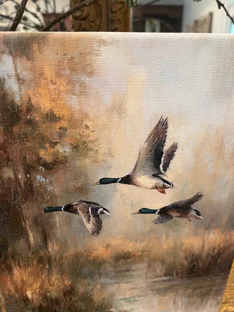 Mallard duck canvas art print