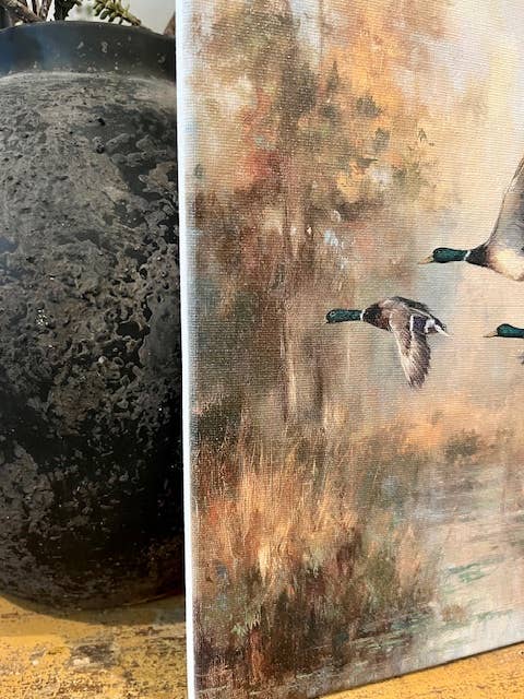 Mallard duck canvas art print