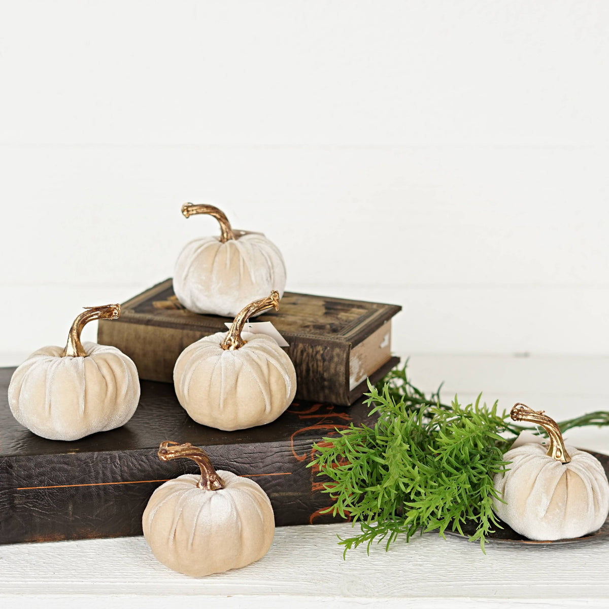 4in Velvet Pumpkin w.Golden Stem-Champaign