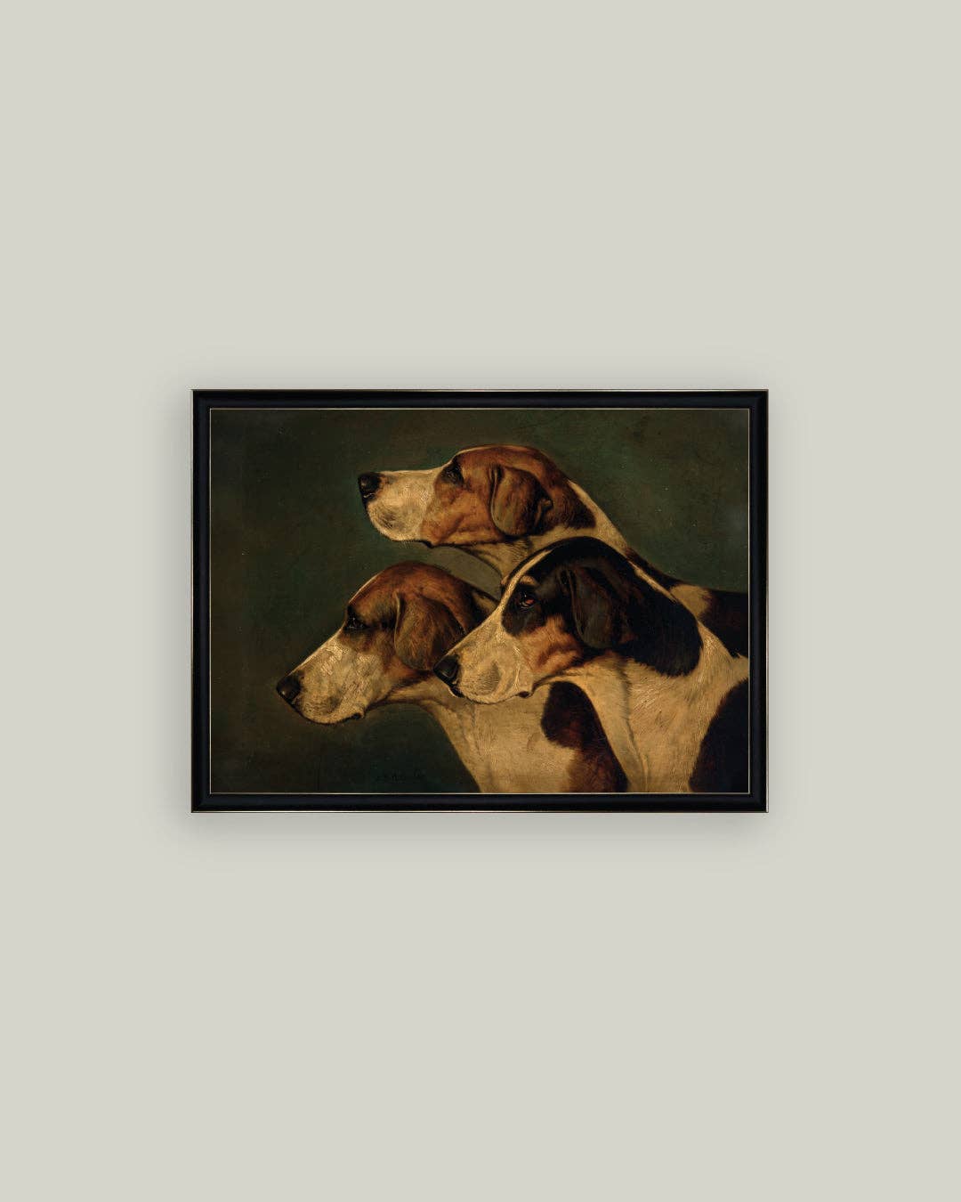 Three English Foxhounds: 7x5