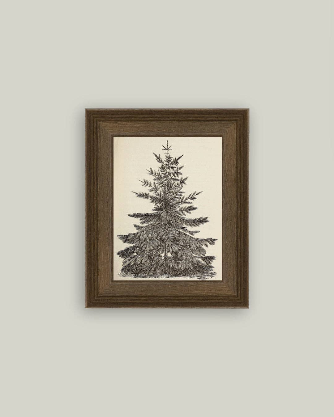 Vintage Pine Tree Framed Antique Art | 5x7