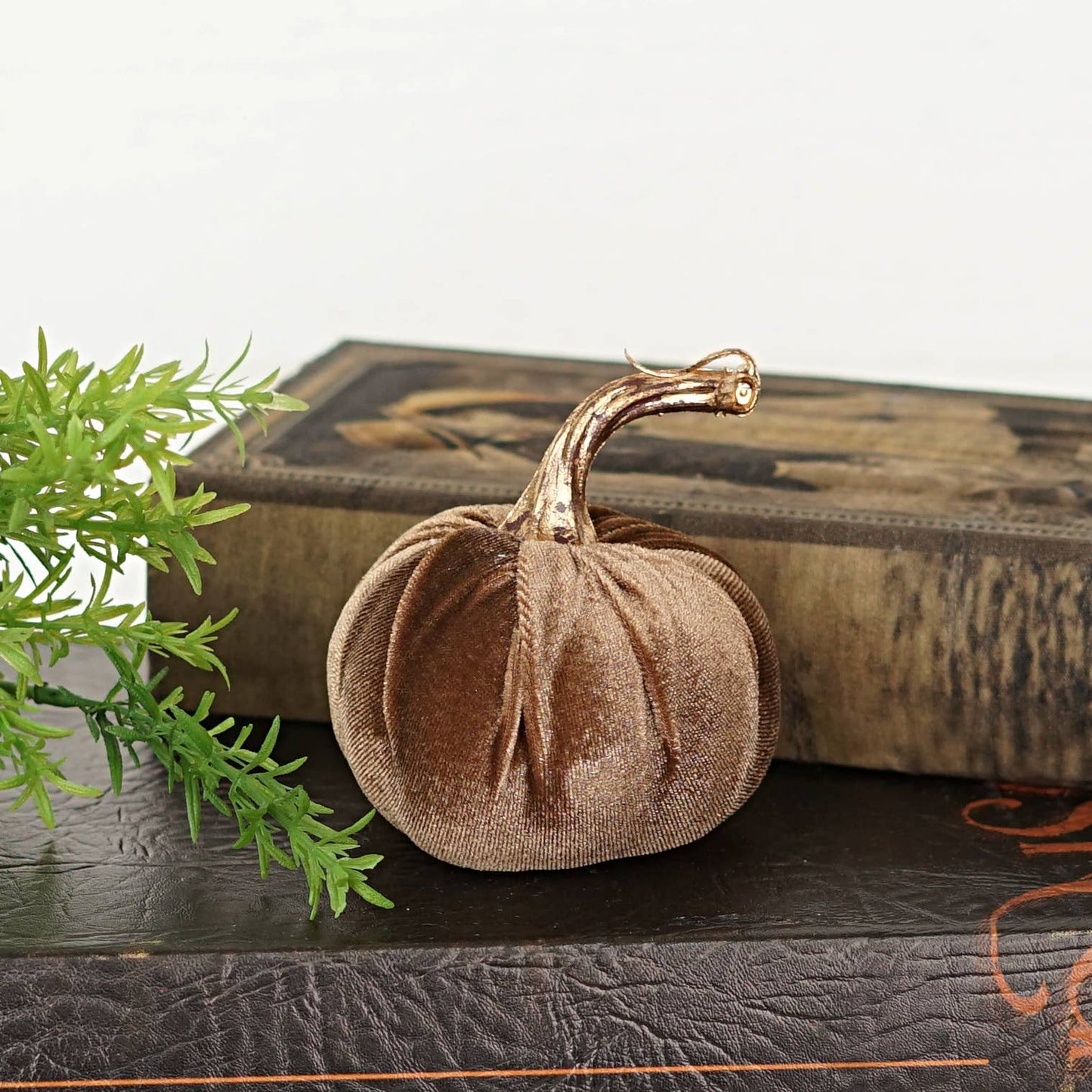 4in Velvet Pumpkin w.Golden Stem- Latte