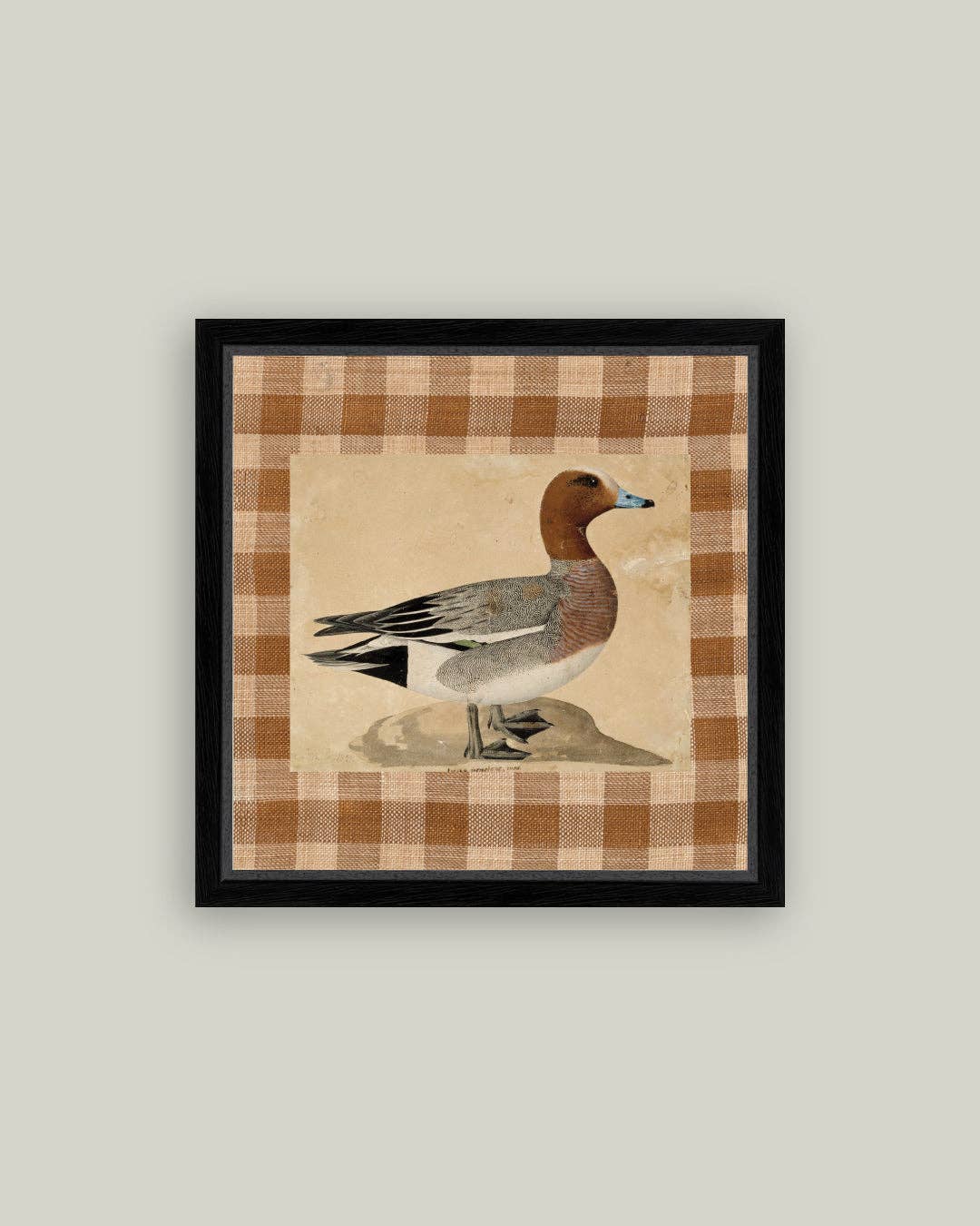 Eurasian Wigeon: 5x5