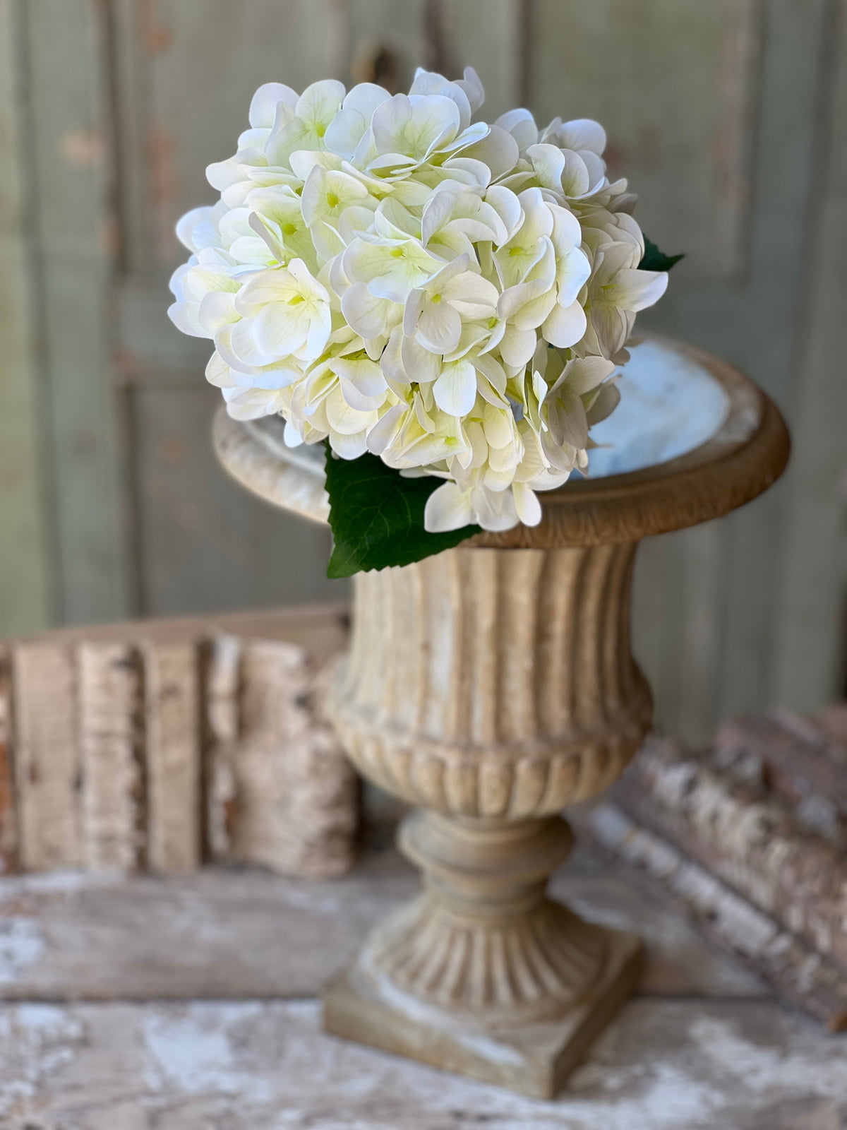 Cameo Hydrangea | 22"