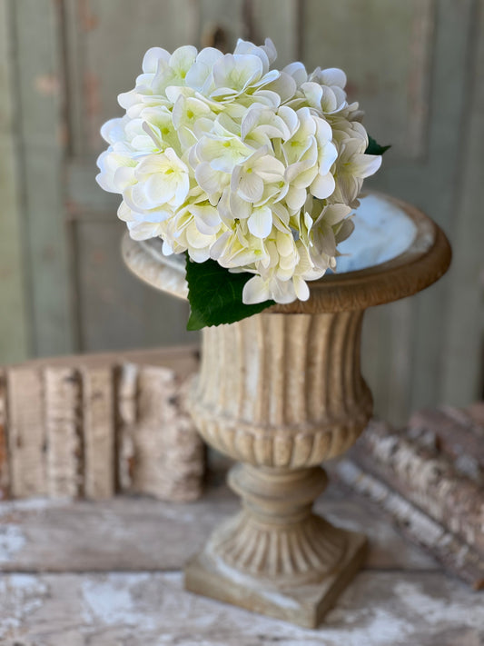 Cameo Hydrangea | 22"