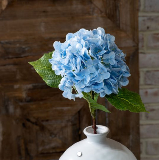 Blue Hydrangea Stem Inner