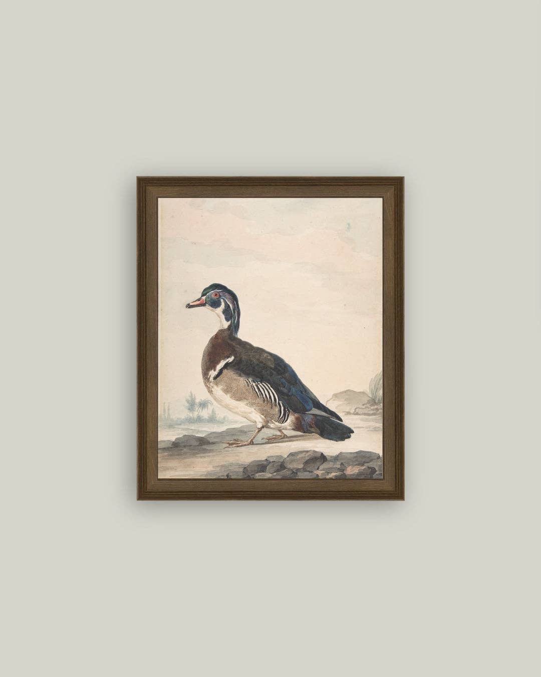 A Duck: 5x7