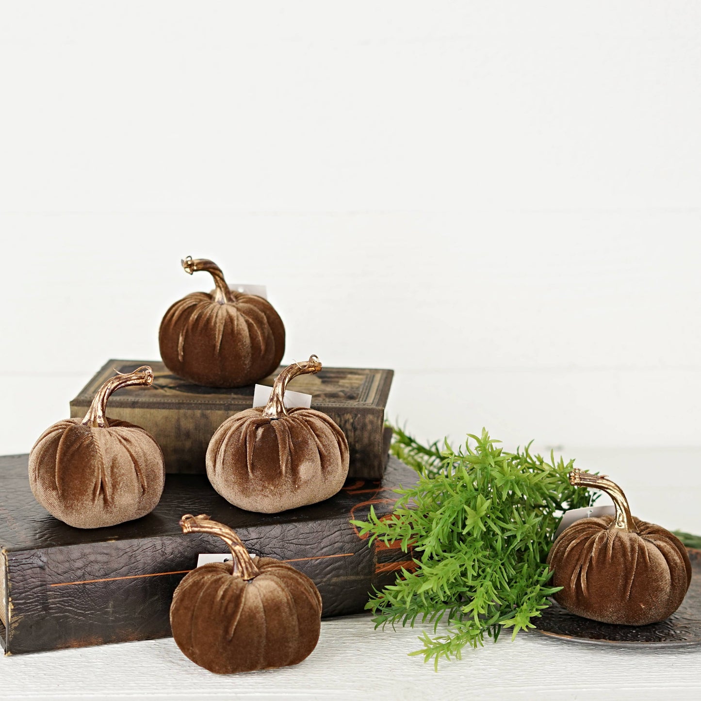 4in Velvet Pumpkin w.Golden Stem- Latte