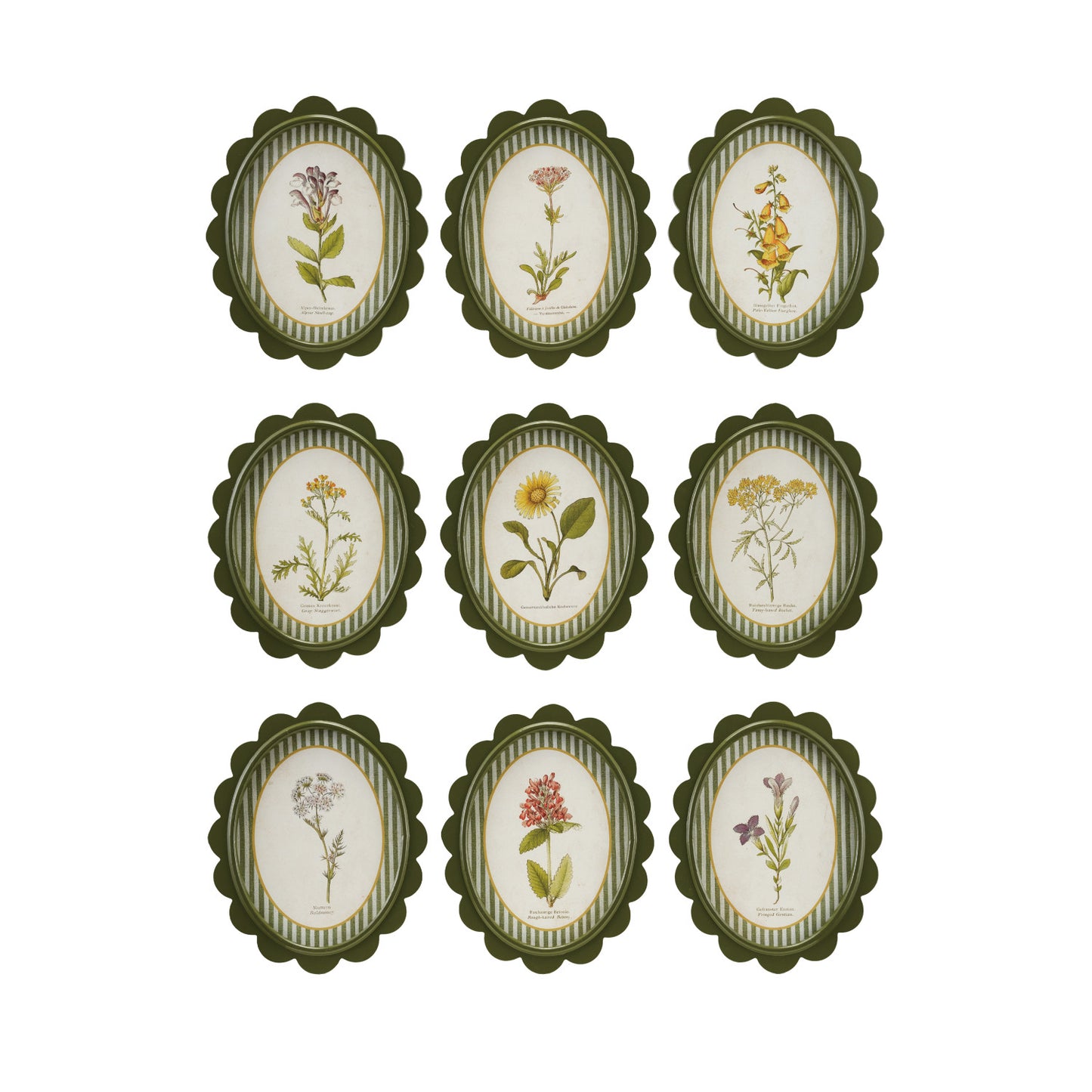Oval Framed Glass Scalloped Wall Decor with Flower & Striped Mat, 9 Styles