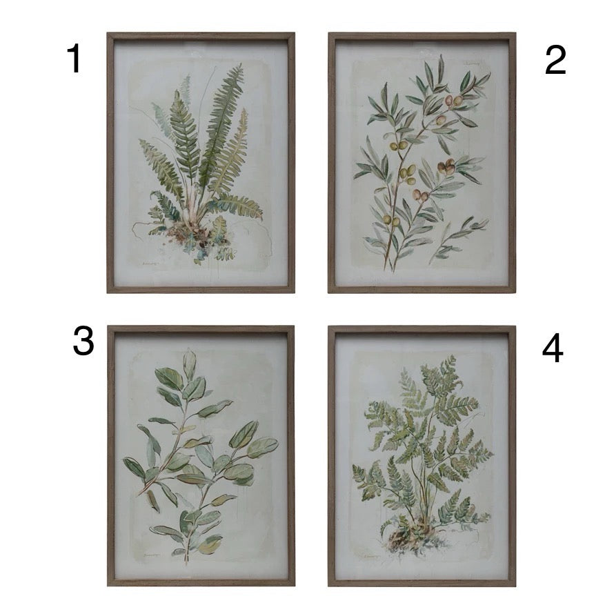 Wood Framed Glass Botanical Print