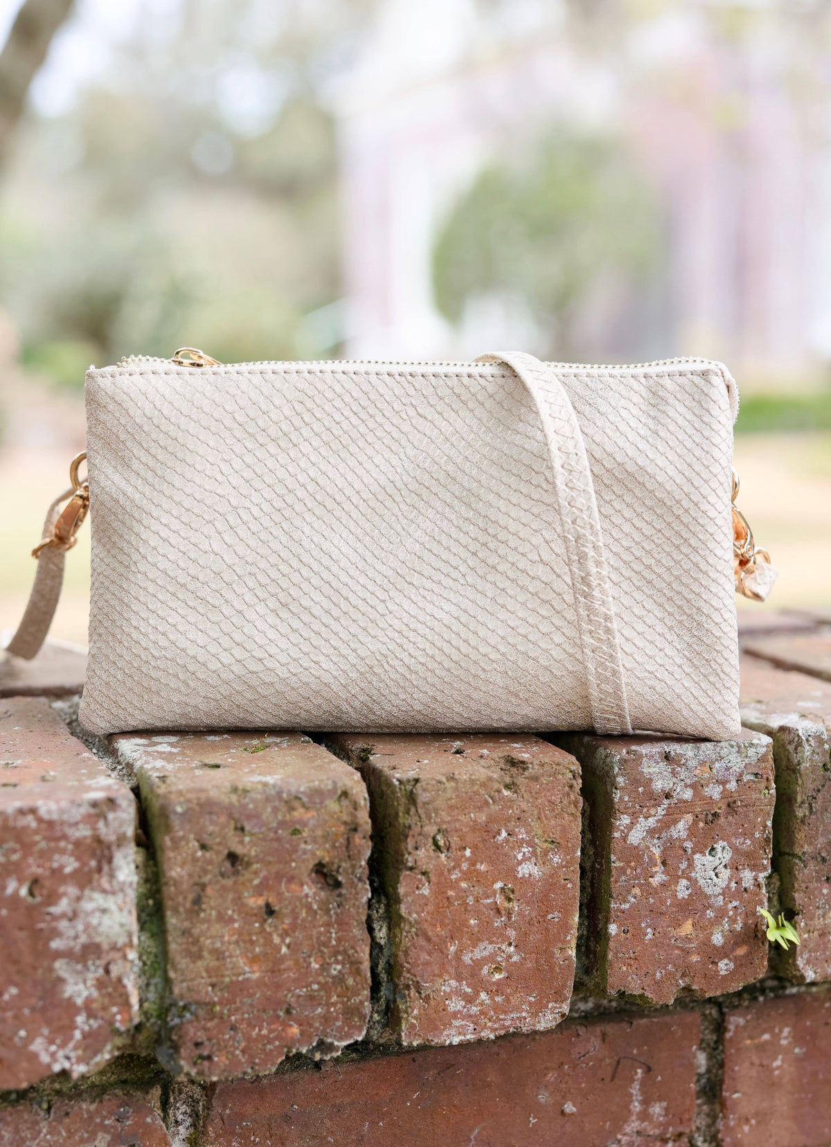 Liz Custom Collection Crossbody Bag SHIMMER CHAMPAGNE: Default
