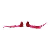 Feather & Corduroy Red Bird Clip on Ornament | 2"
