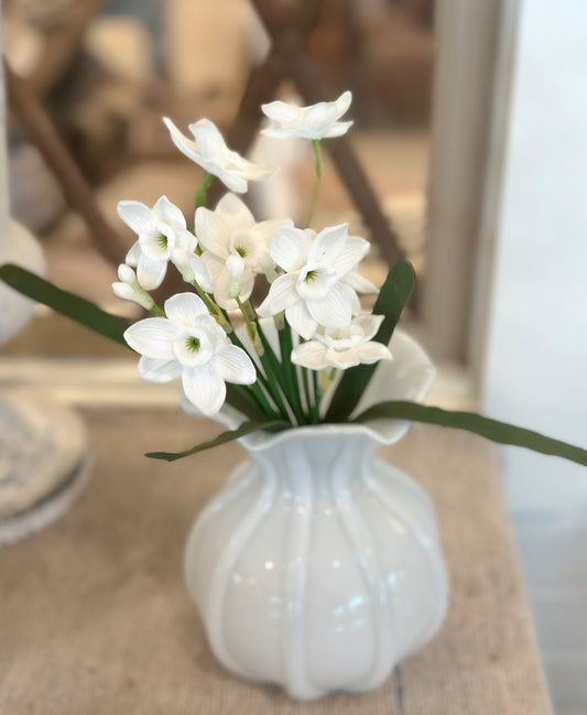 11" Buttercup Bundle/White