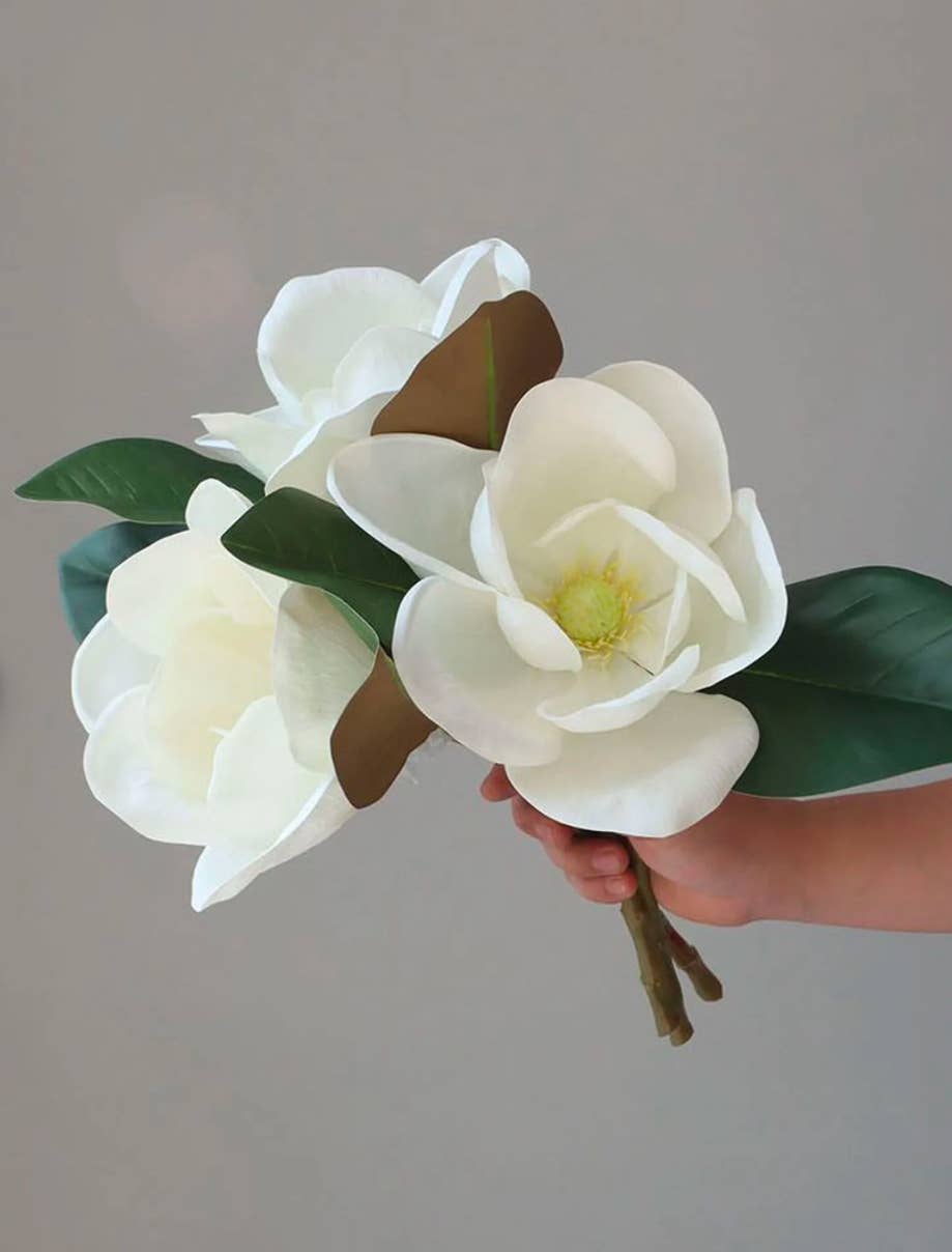 Realistic Large bloom Magnolia Flower with Leaves