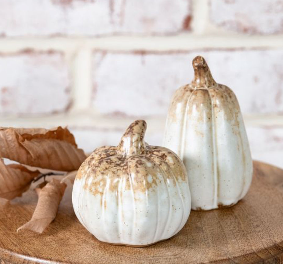 Rustic Stoneware Pumpkin & Gourd