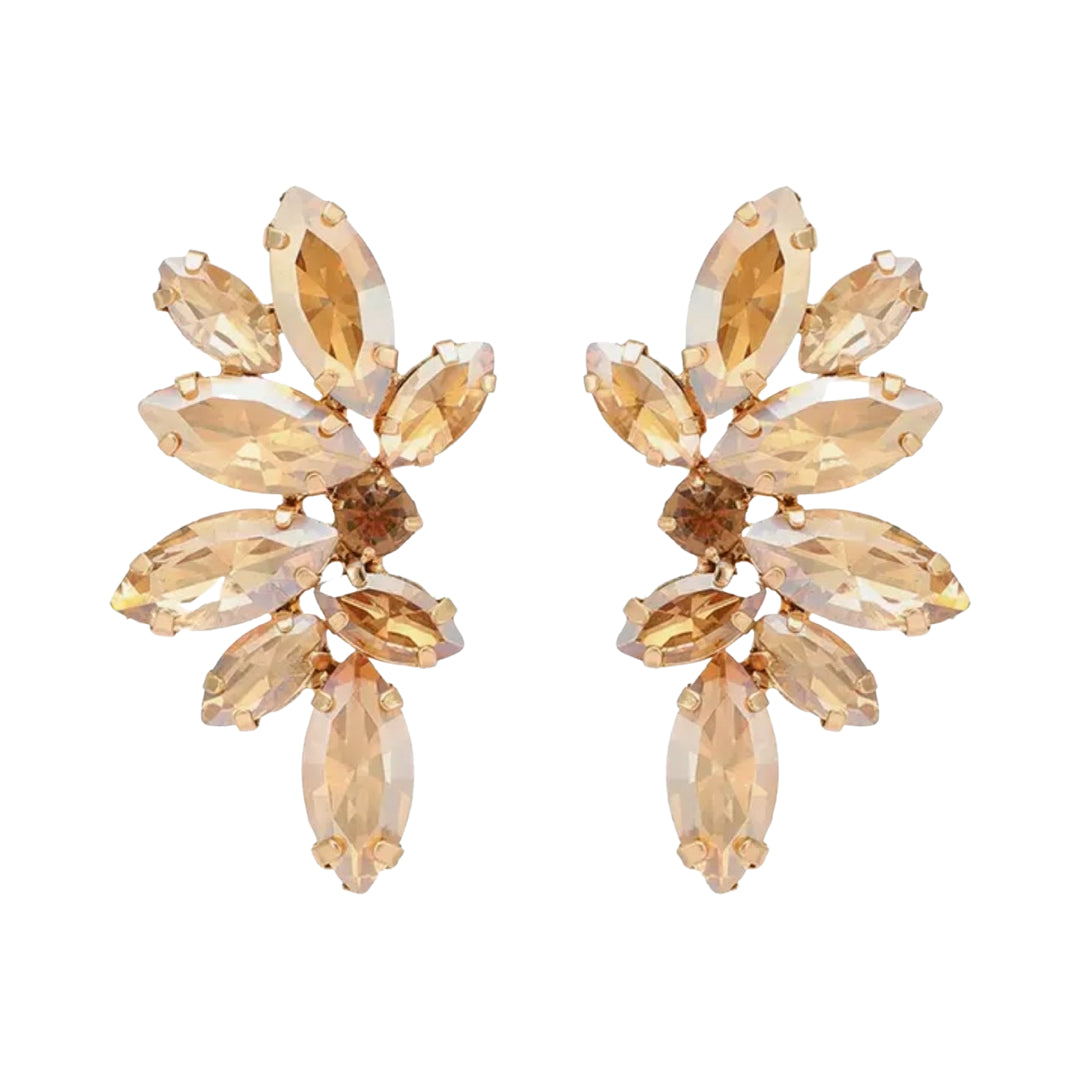 Vintage Crystal Champagne Wing
