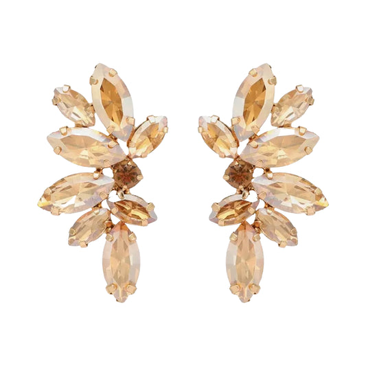 Vintage Crystal Champagne Wing