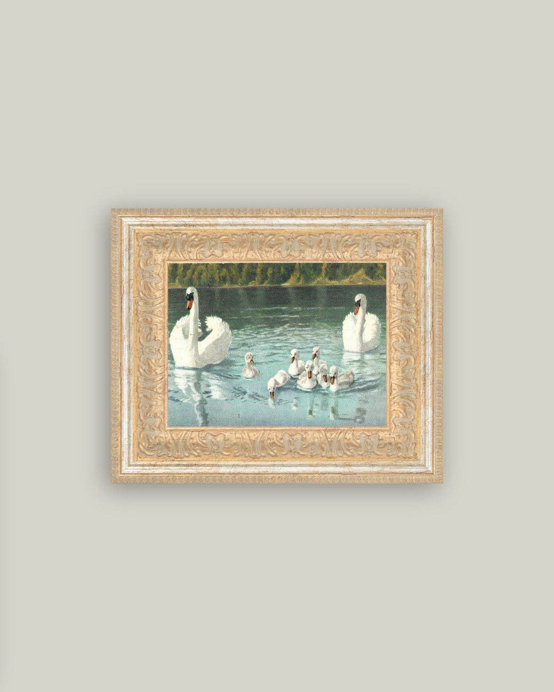 Swan Family Framed Antique Art: 12x10