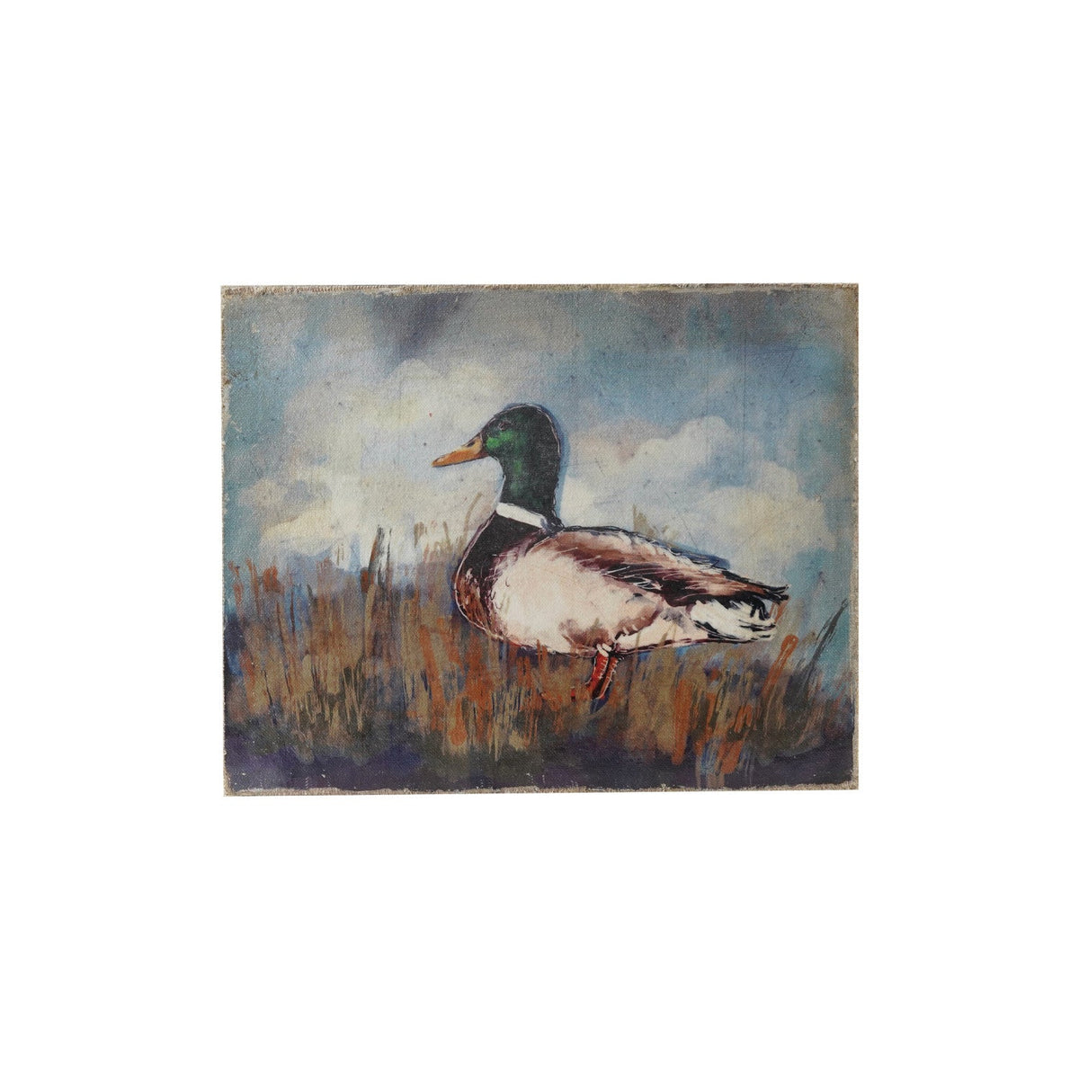 Canvas Wall Decor w/Duck Image