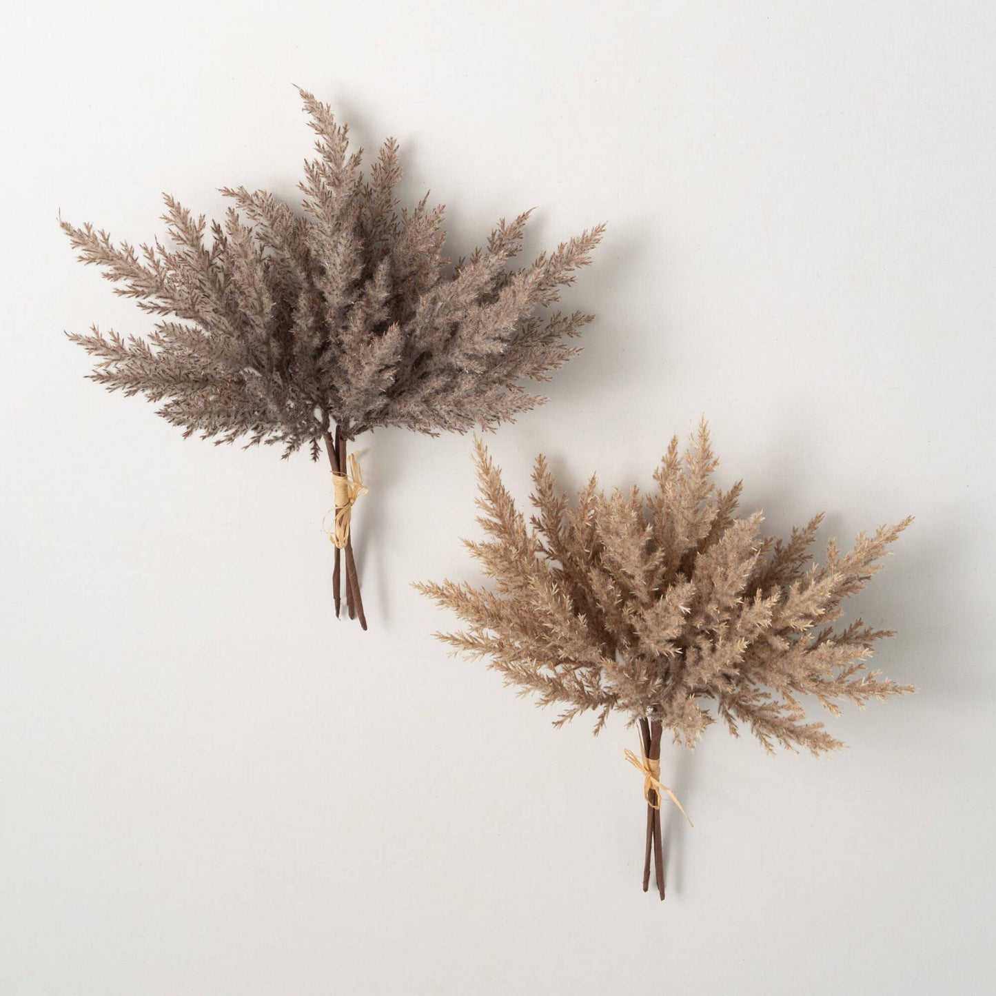 Pampas Grass Bush Bundle-2 colors