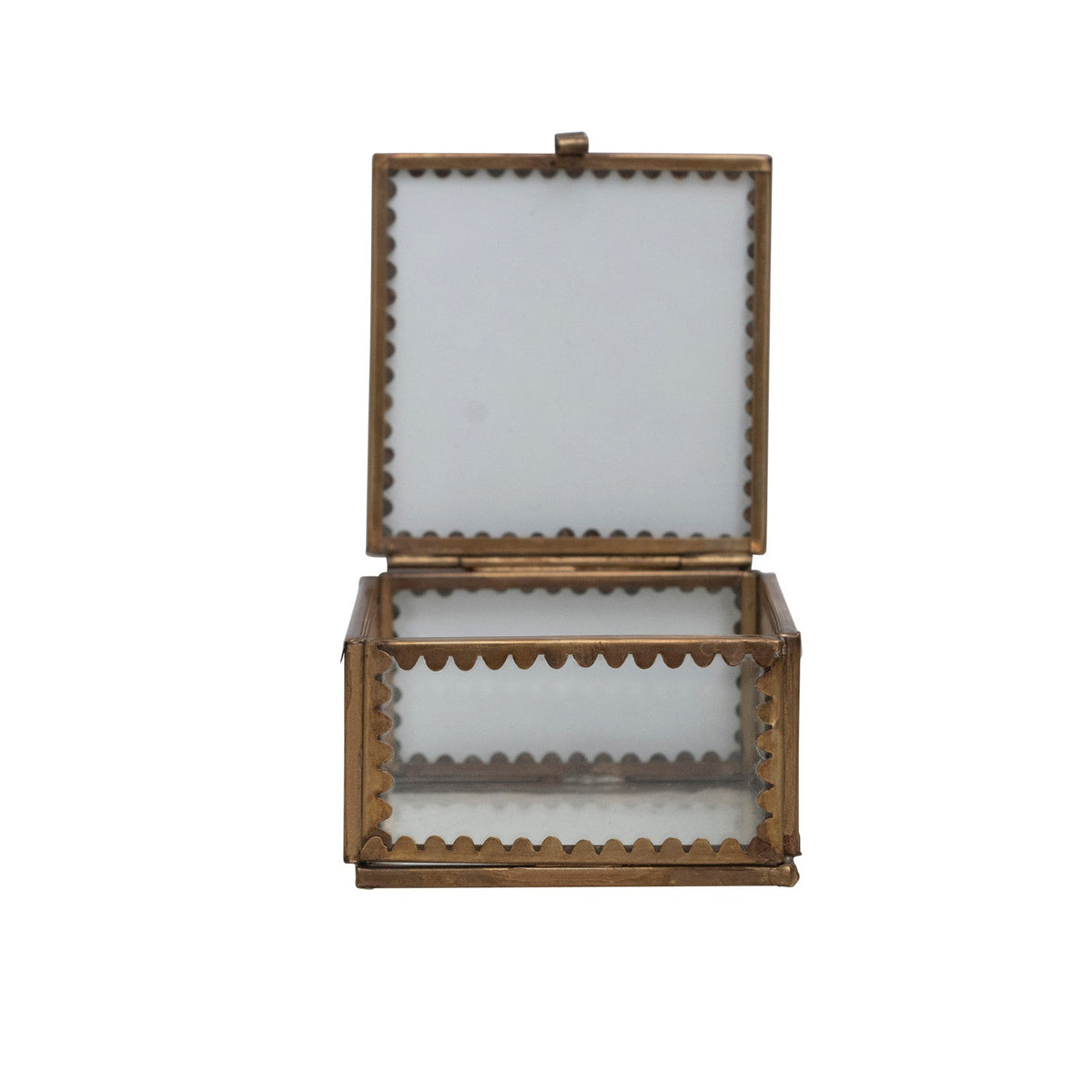 Scallop Edge Display Box-small