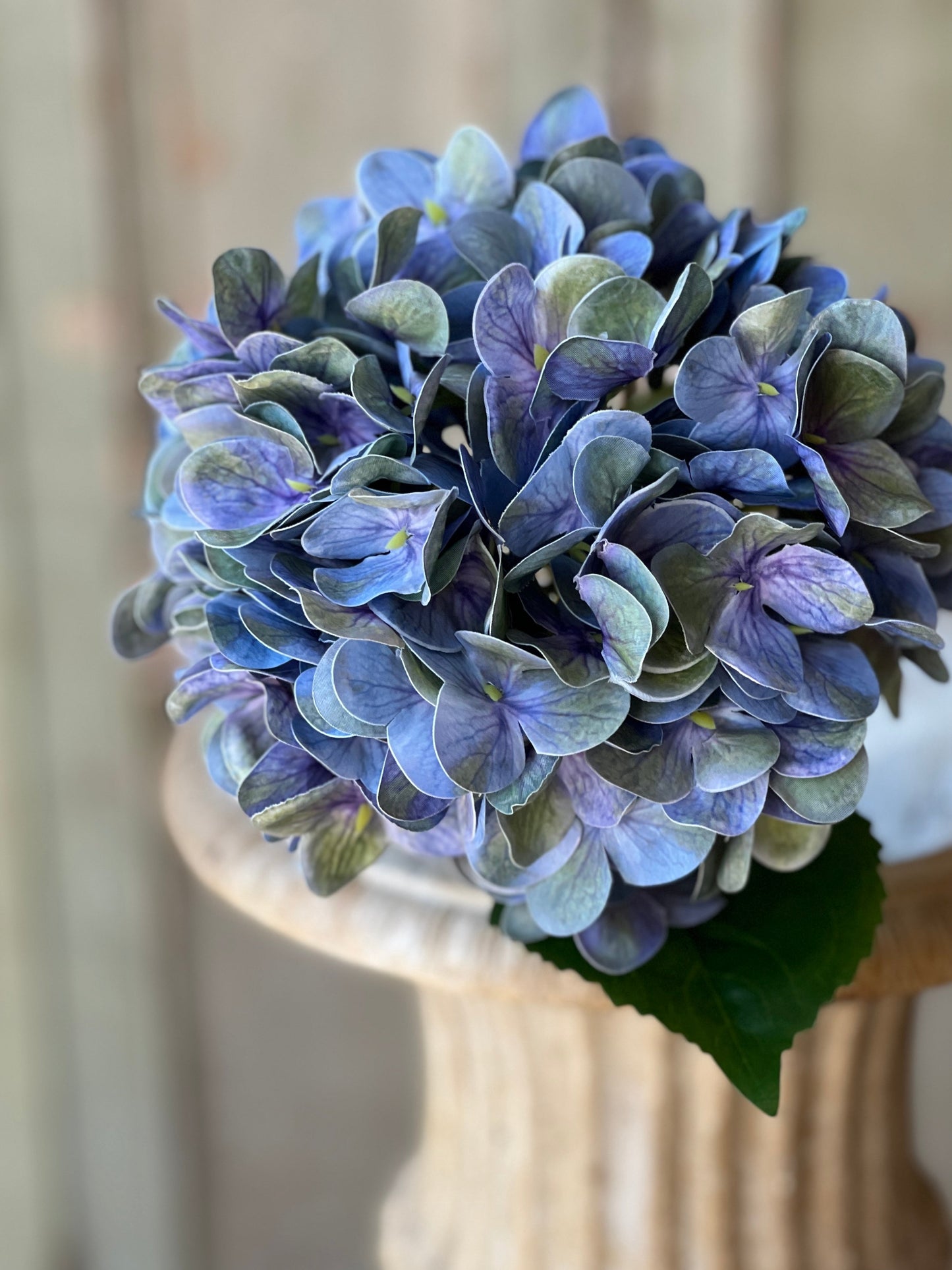 22" Cameo Hydrangea/Watercolor