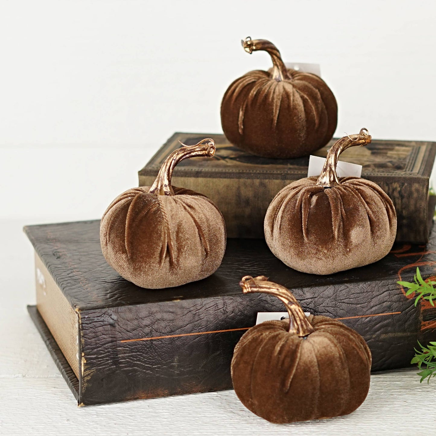 4in Velvet Pumpkin w.Golden Stem- Latte