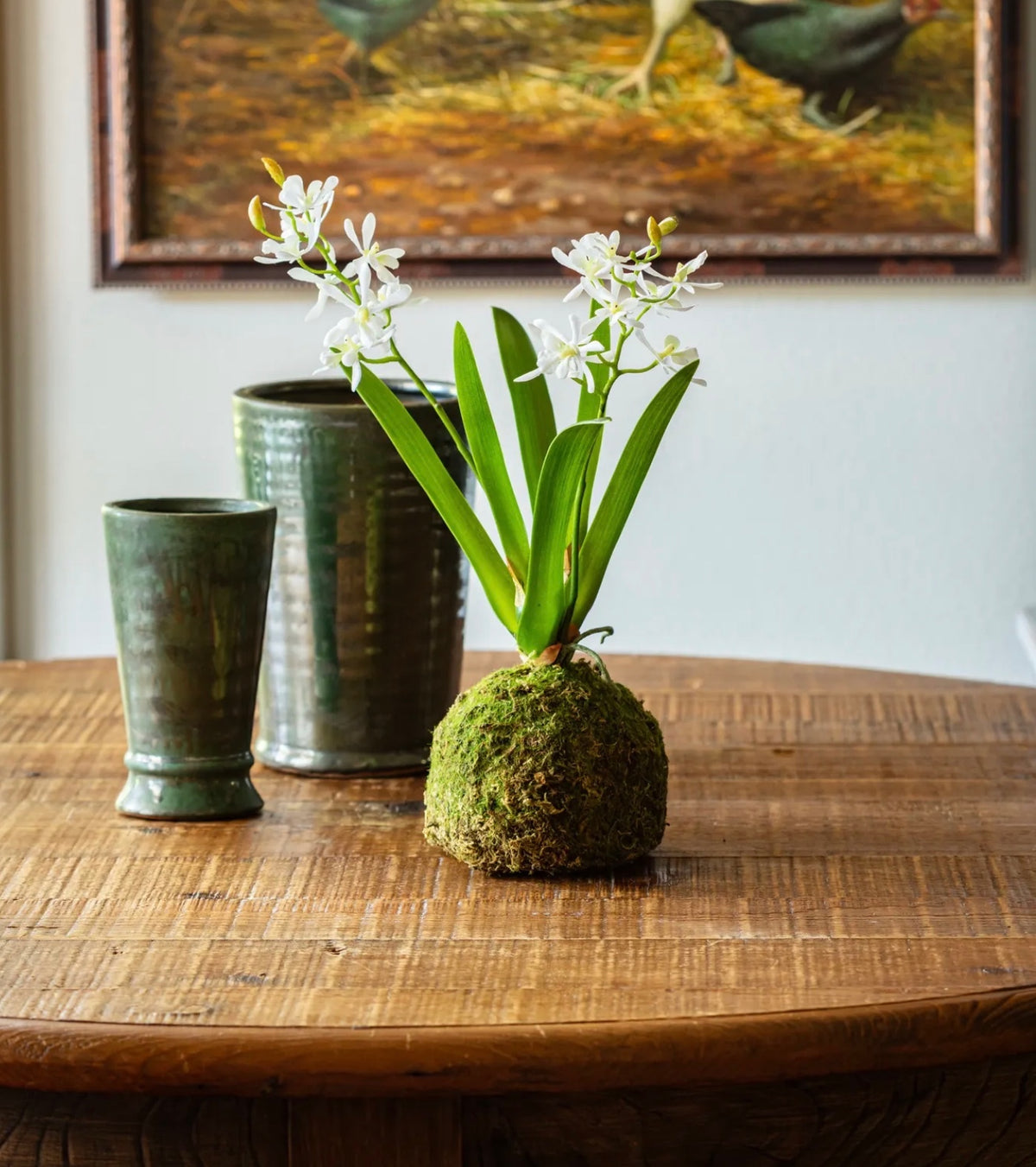 Mini Vanda Orchid in Moss Ball White