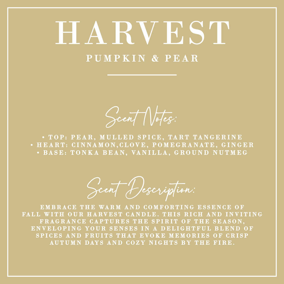 HARVEST | Pumpkin + Pear Candle | Luxe Collection: 6 oz