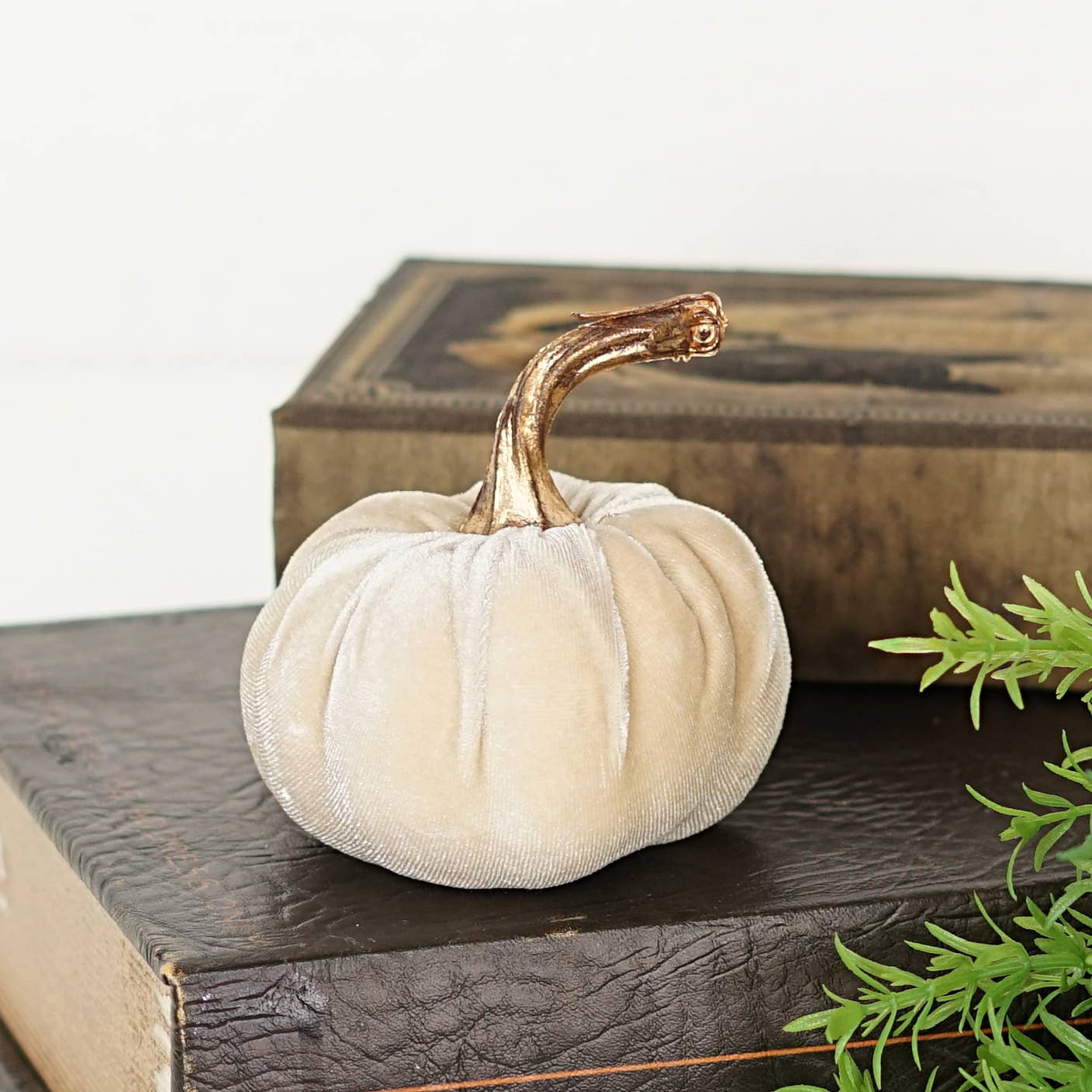 4in Velvet Pumpkin w.Golden Stem-Champaign