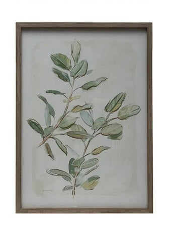 Wood Framed Glass Botanical Print
